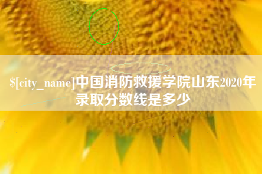 通化中国消防救援学院山东2020年录取分数线是多少