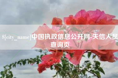 通化中国执政信息公开网-失信人员查询页