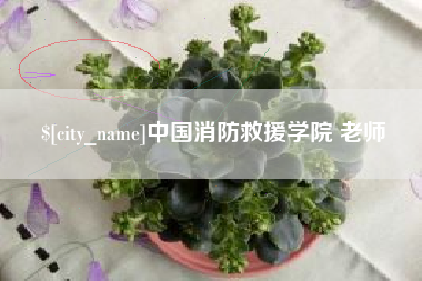 通化中国消防救援学院 老师