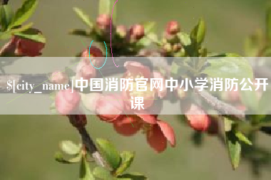 通化中国消防官网中小学消防公开课