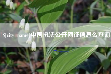 通化中国执法公开网征信怎么查询