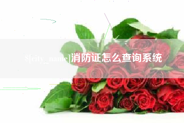 通化消防证怎么查询系统