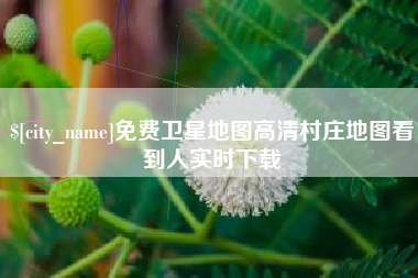 通化免费卫星地图高清村庄地图看到人实时下载