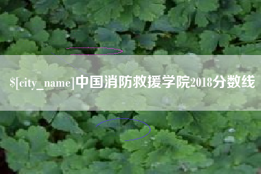 通化中国消防救援学院2018分数线