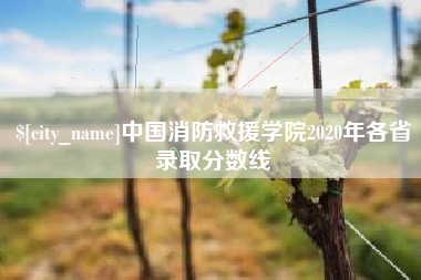 通化中国消防救援学院2020年各省录取分数线