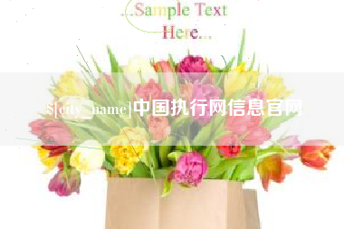 通化中国执行网信息官网