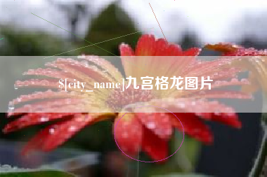 通化九宫格龙图片