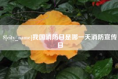 通化我国消防日是哪一天消防宣传日