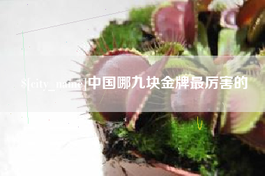 通化中国哪九块金牌最厉害的