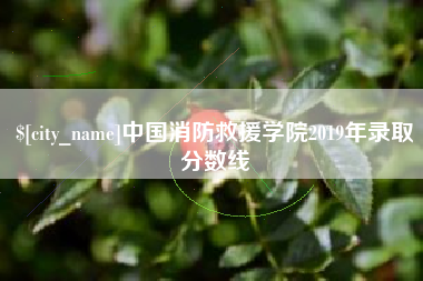 通化中国消防救援学院2019年录取分数线