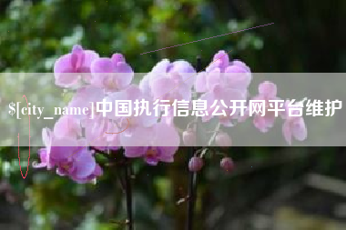 通化中国执行信息公开网平台维护