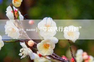 通化“中国执行公开网”