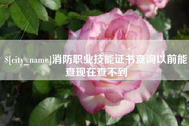 通化消防职业技能证书查询以前能查现在查不到