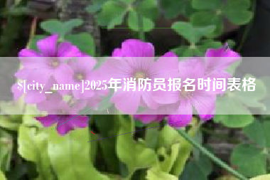 通化2025年消防员报名时间表格