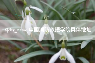 通化中国消防救援学院具体地址