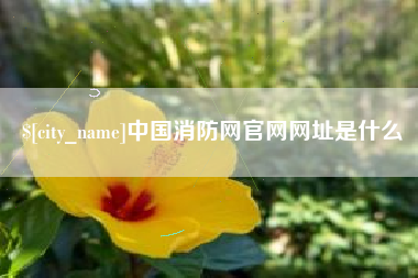 通化中国消防网官网网址是什么