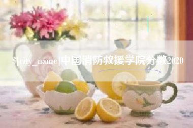 通化中国消防救援学院分数2020