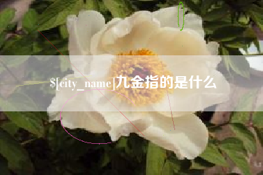 通化九金指的是什么