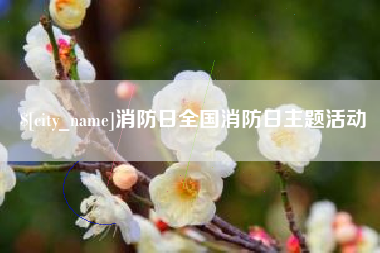 通化消防日全国消防日主题活动