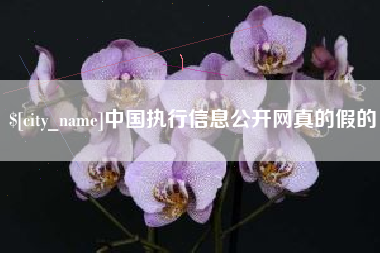 通化中国执行信息公开网真的假的