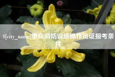 通化重庆消防设施操作员证报考条件