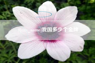 通化我国多少个金牌