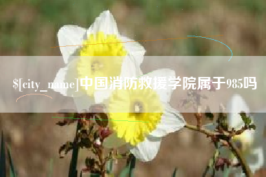 通化中国消防救援学院属于985吗