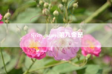 通化第九金是