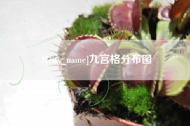 通化九宫格分布图