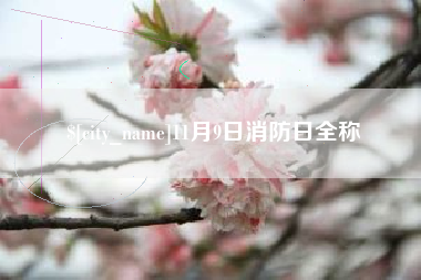 通化11月9日消防日全称