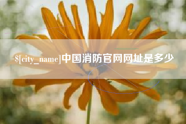通化中国消防官网网址是多少