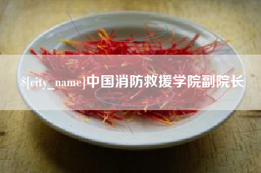 通化中国消防救援学院副院长