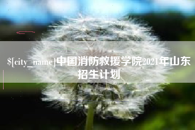 通化中国消防救援学院2021年山东招生计划