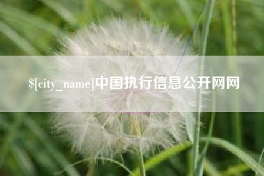 通化中国执行信息公开网网