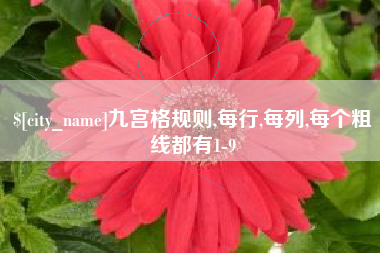 通化九宫格规则,每行,每列,每个粗线都有1-9