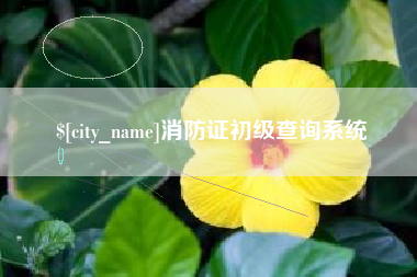 通化消防证初级查询系统