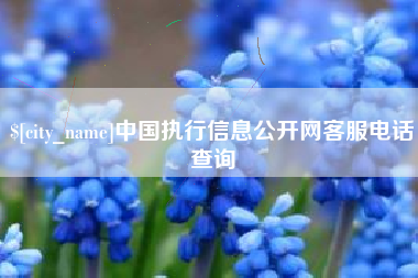 通化中国执行信息公开网客服电话查询