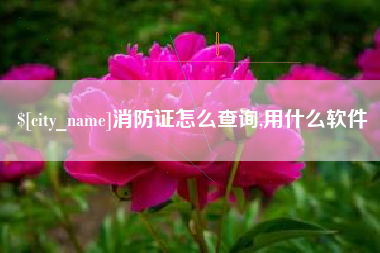 通化消防证怎么查询,用什么软件