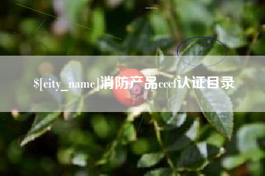 通化消防产品cccf认证目录