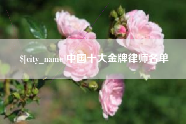 通化中国十大金牌律师名单