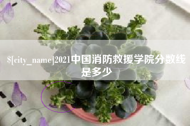 通化2021中国消防救援学院分数线是多少