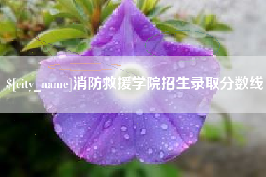 通化消防救援学院招生录取分数线