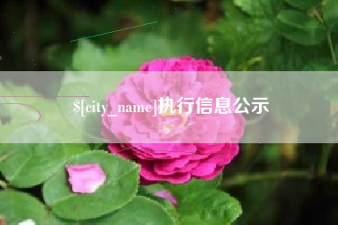 通化执行信息公示