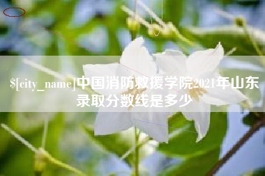 通化中国消防救援学院2021年山东录取分数线是多少