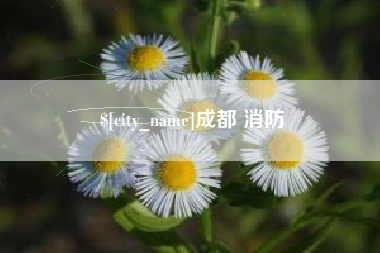 通化成都 消防