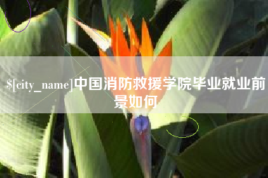 通化中国消防救援学院毕业就业前景如何