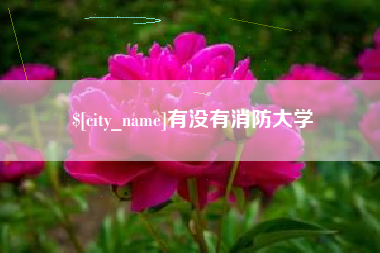通化有没有消防大学