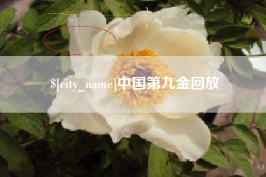 通化中国第九金回放