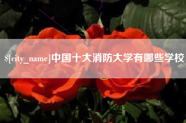 通化中国十大消防大学有哪些学校