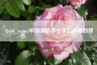 通化中国消防中小学公开课回放
